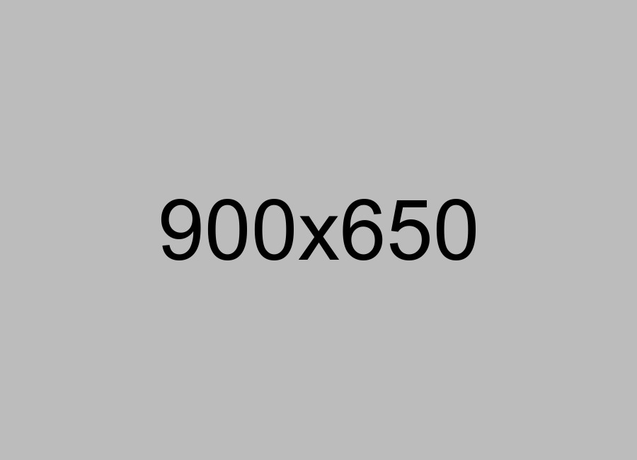 Set your Website Now